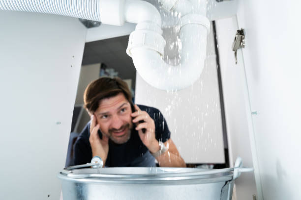 Best Commercial Plumbing Services  in Gurnee, IL